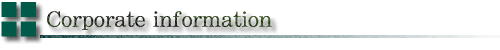 Corporate information